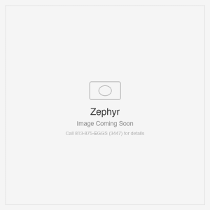 Zephyr Titan Wall 48" TruHue