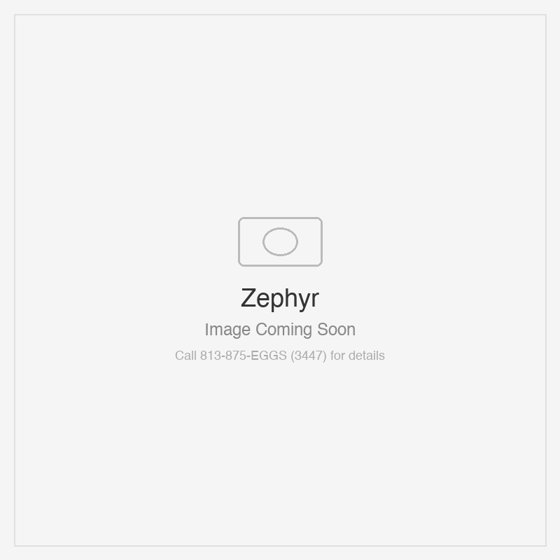 Zephyr Titan Wall 54" TruHue